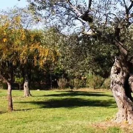 Grazia Alghero